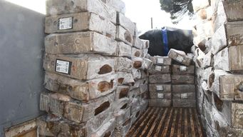 incautan 2.000 kilos de pollo de contrabando en medio de la prohibicion de ingresar productos avicolas de brasil