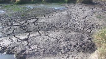 onu uruguay confirma apoyo al gobierno ante crisis hidrica y explica informe de expertos