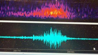 registran sismo en rocha: se sintio como un gran estruendo, un trueno sin tormenta