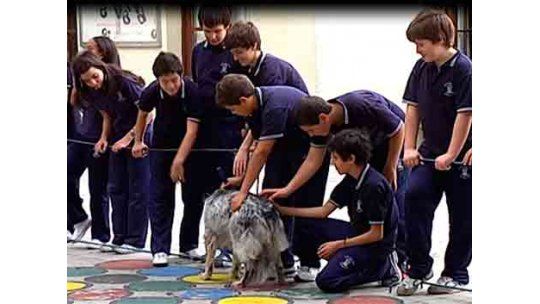 Enseñan a alumnos sobre cuidados de animales tras muerte de perra