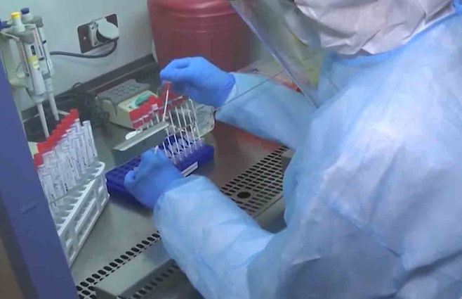 test-kit-covid-laboratorio.jpg