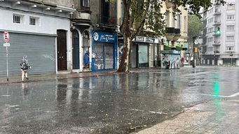 persisten algunas lluvias aisladas y luego se instala el frio, incluso con heladas