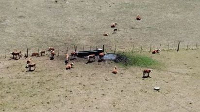mgap extendio la emergencia agropecuaria a zonas de florida, rocha y colonia