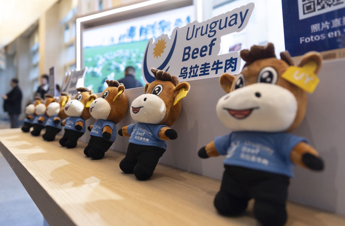 Foto: Presidencia. Foto: Presidencia.