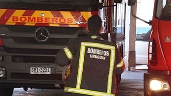 bomberos trabajo en un incendio en el interior de una camara frigorifica