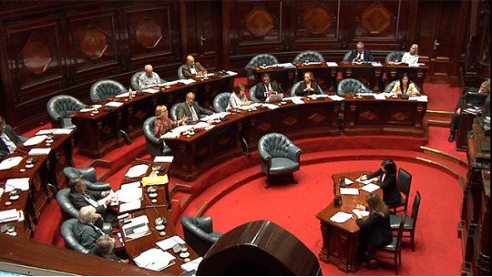 senado