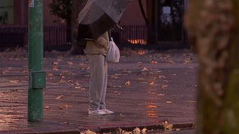 meteorologia emitio una alerta amarilla por persistencia de tormentas y lluvias