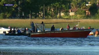 veda de la dinara: prohibio la pesca de corvina negra hasta el 15 de enero de 2025