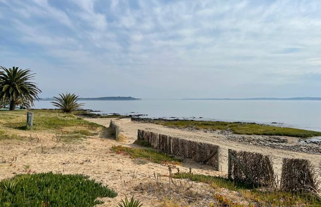 NUBLADO PUNTA DEL ESTE.jpeg