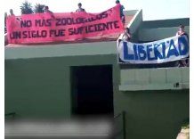 Polémica por manifestación anti zoológico realizada este domingo