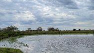 Martes fresco y con algunas inestabilidades: aparecen lluvias aisladas en el norte de Uruguay