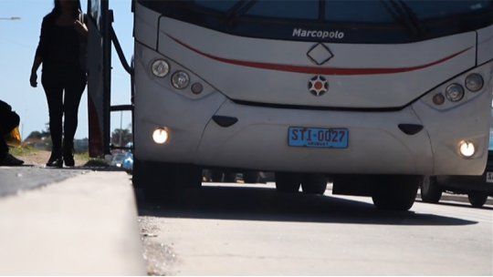 bus
