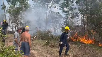 bomberos controlo el incendio proximo a la playa chihuahua que afecto una zona arbolada