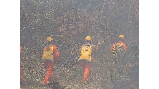 Incendio en Rocha dividido en dos focos sobre el eje de ruta 9