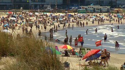 intendencia presenta su aplicacion para evitar aglomeraciones en las playas