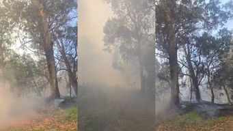 incendio en cuchilla alta afecta unas seis hectareas y trabajan bomberos de varios destacamentos para controlarlo