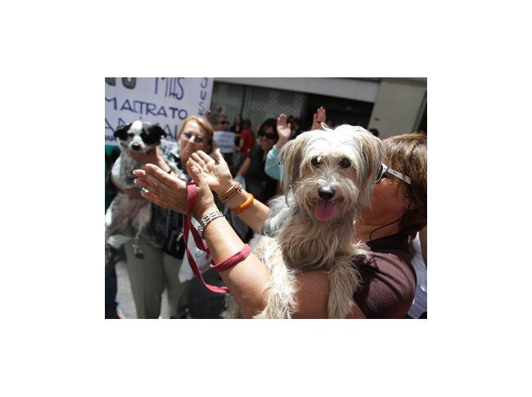 Cómo son los días en el INAU de los jóvenes que mataron al perro