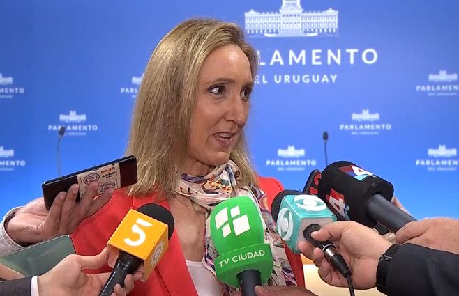 PARLAMENTO--Bárbara mainzer--.jpg