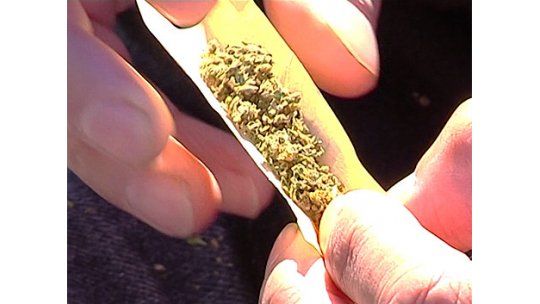 Aplazan votación de ley de marihuana, será el 31 de julio