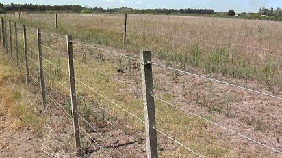 productores rurales pediran al mgap declarar emergencia por sequia en canelones