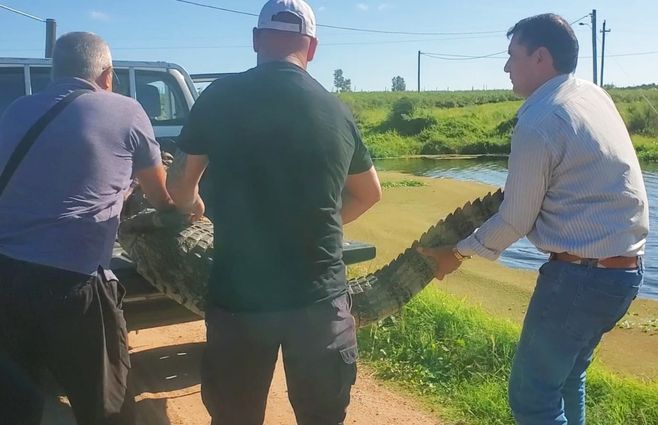 Foto cedida a Subrayado.