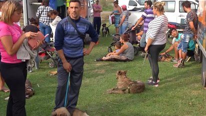 zoonosis detecto 500 focos de riesgo de contagio de hidatidosis en todo el pais