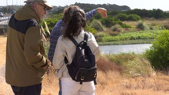 vecinos del arroyo carrasco denuncian olor insoportable desde hace decadas y reclaman una solucion