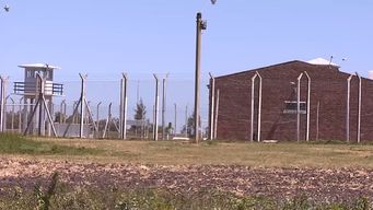 fiscalia archivo denuncia de ong nada crece a la sombra contra el ministerio del interior