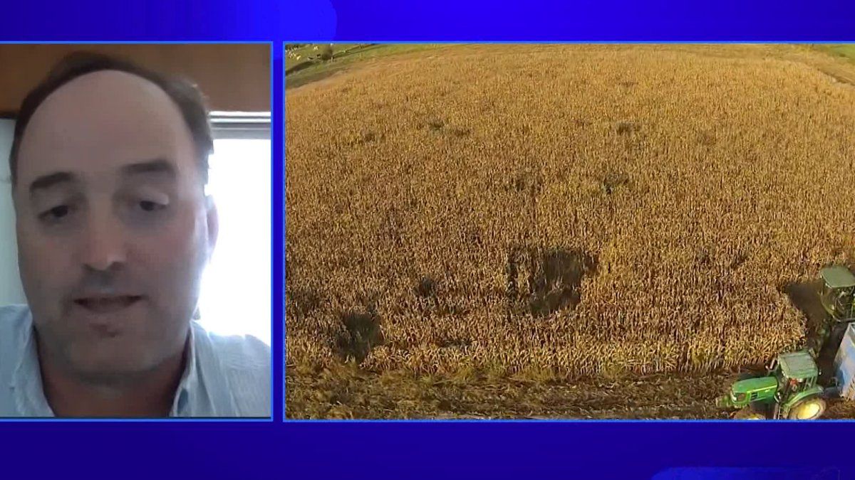 Para presidente de ARU es 