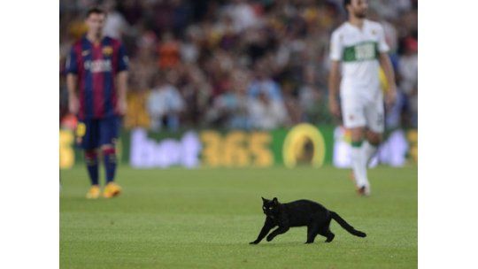 Messi y un gato negro, las figuras en el partido del Barcelona