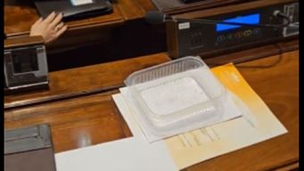 gotera en plena camara de diputados; asi lo mostro en video el diputado felipe schipani