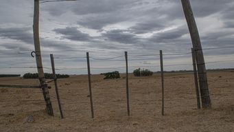 Foto: FocoUy. Foto: FocoUy.