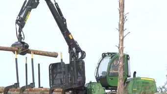 fratti cuestiono decreto que flexibiliza las condiciones para forestacion; mattos dijo que se viene trabajando hace anos