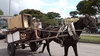 inau trabaja en reforzar inspecciones y actualizar cifras sobre trabajo infantil en uruguay