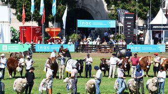 comenzo la expo prado y varias lineas de omnibus cambian su recorrido durante el fin de semana