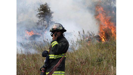 Mueren cinco bomberos chilenos en pleno combate del fuego