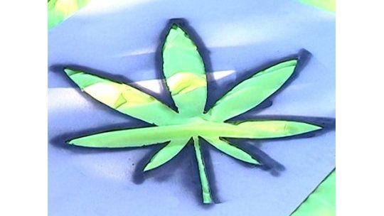 Fundación Manantiales en contra de legalizar la marihuana