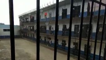 informe anual de amnistia internacional: uruguay tiene una de las tasas de prisionalizacion mas altas de la region