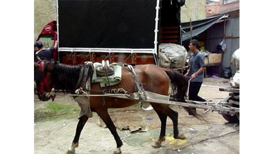 Bogotá: clasificadores pasan de carros con caballo a camiones