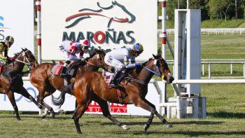 Subrayado | 10 TURF 11 D NOV