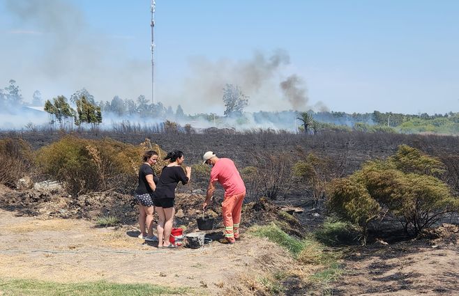 WhatsApp Image 2023-02-12 at 11.50.48.jpeg