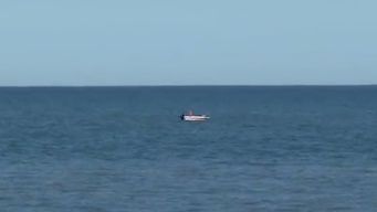 encontraron una cabeza en las aguas del rio de la plata; investigan si es del hombre de 44 anos