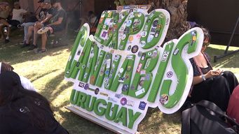 este fin de semana se realiza expo cannabis en el latu con una variada grilla de actividades