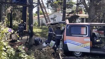 ute invertira usd 24 millones en maldonado: priorizara el mantenimiento de la infraestructura electrica