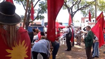 segun diputado schipani, recurso por color celeste subestima a la gente