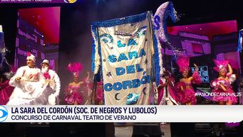 la sara del cordon, los rolin, la margarita y la cayetana en el teatro de verano