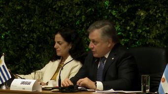 paganini apunto a situacion de estancamiento y pidio sinceramiento del mercosur