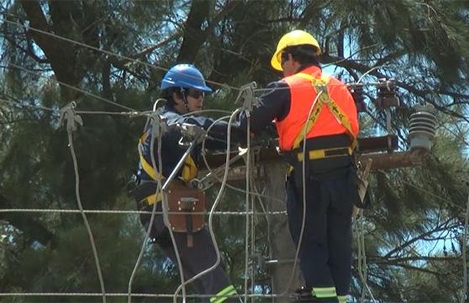 trabajadores ute.JPEG