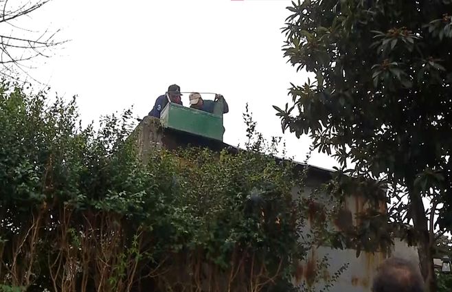 mono-titi-jaula.jpg