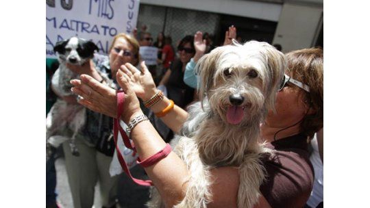 Maltrato animal: alarma pública decidió internación en INAU